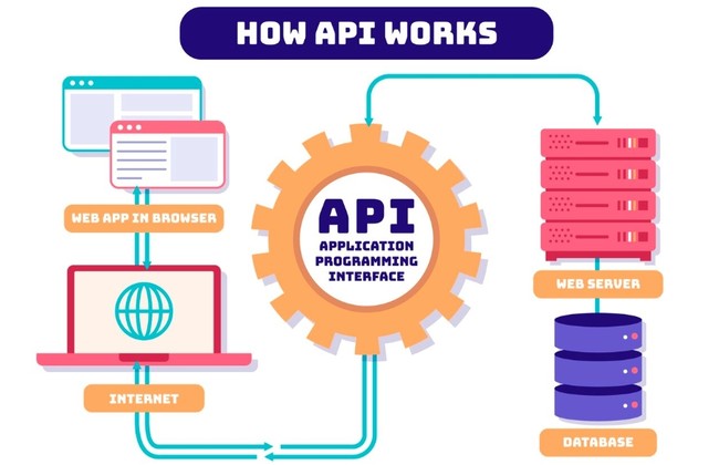 API接口协议 驱动软件开发的桥梁与纽带